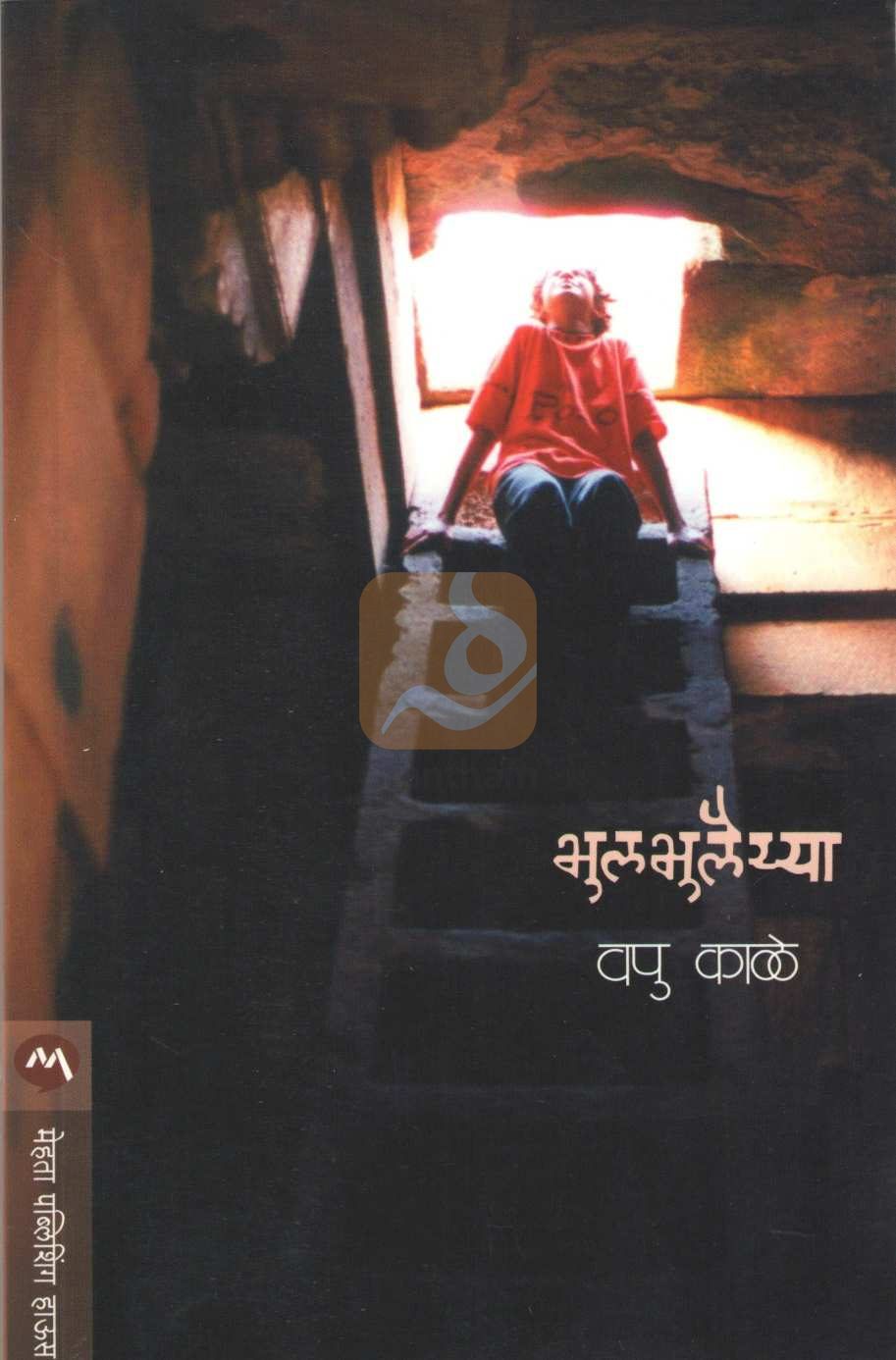 Bhulbhulaiyya ( भुलभुलैय्या ) by V. P. Kale ( व. पु. काळे )