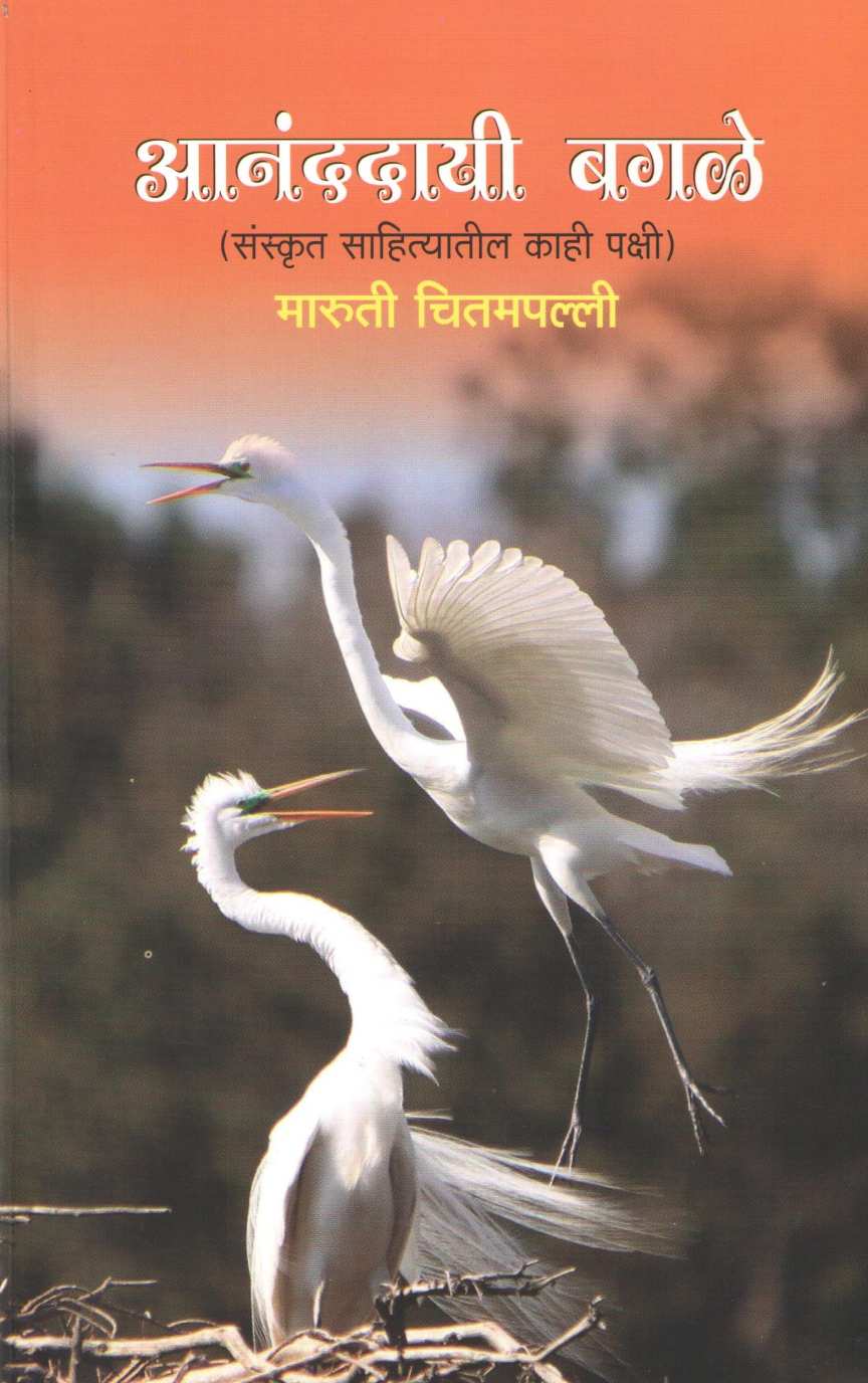 Ananddayi Bagle ( आनंददायी बगळे ) by Maruti Chitampalli ( मारुती चितमपल्ली )