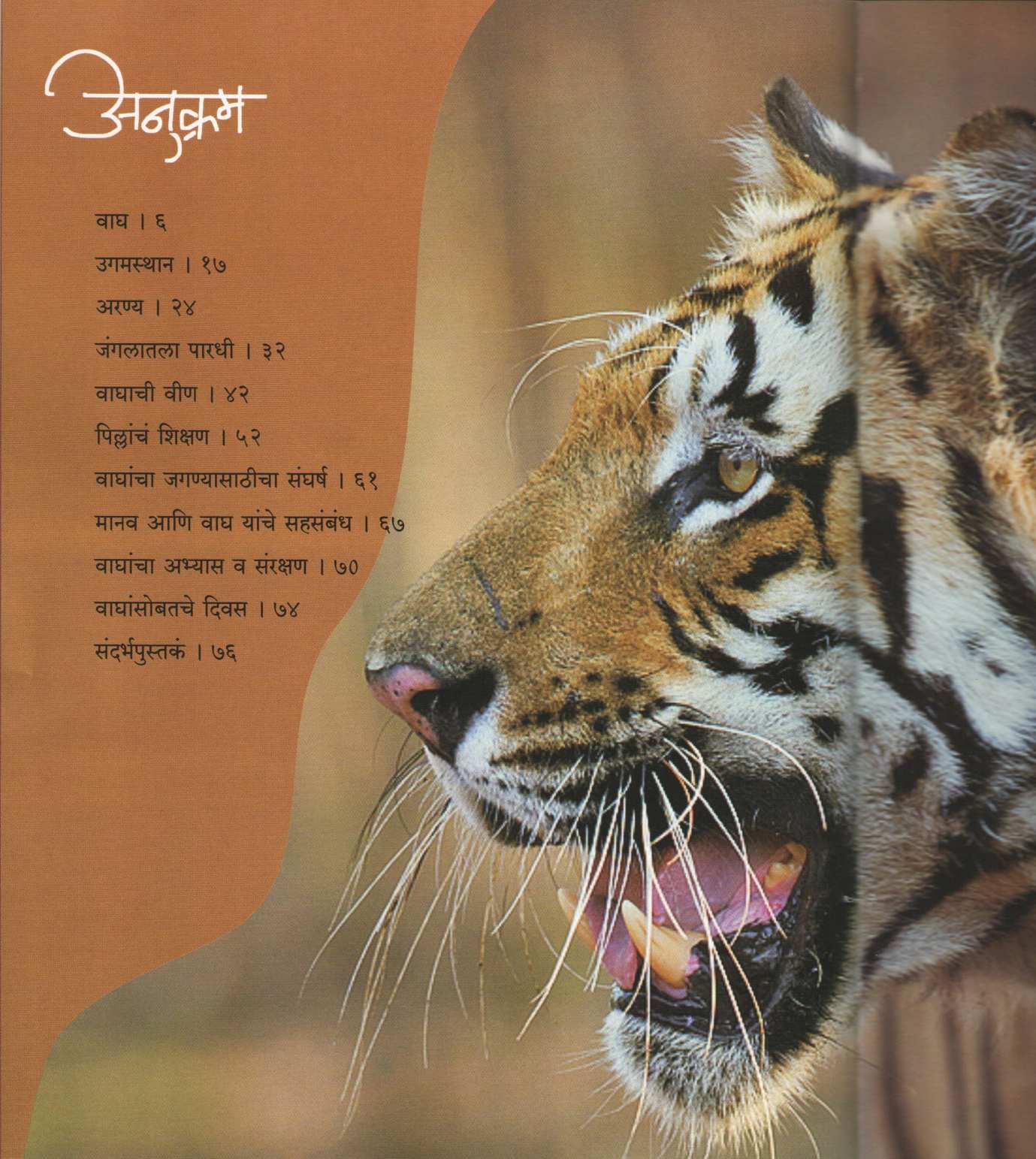 Janglacha Raja Wagh ( जंगलाचा राजा वाघ ) by Atul Dhamankar ( अतुल धामनकर )