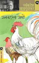Gavakadchya Goshti ( गावाकडच्या गोष्टी ) by Vyankatesh Madgulkar ( व्यंकटेश माडगूळकर )
