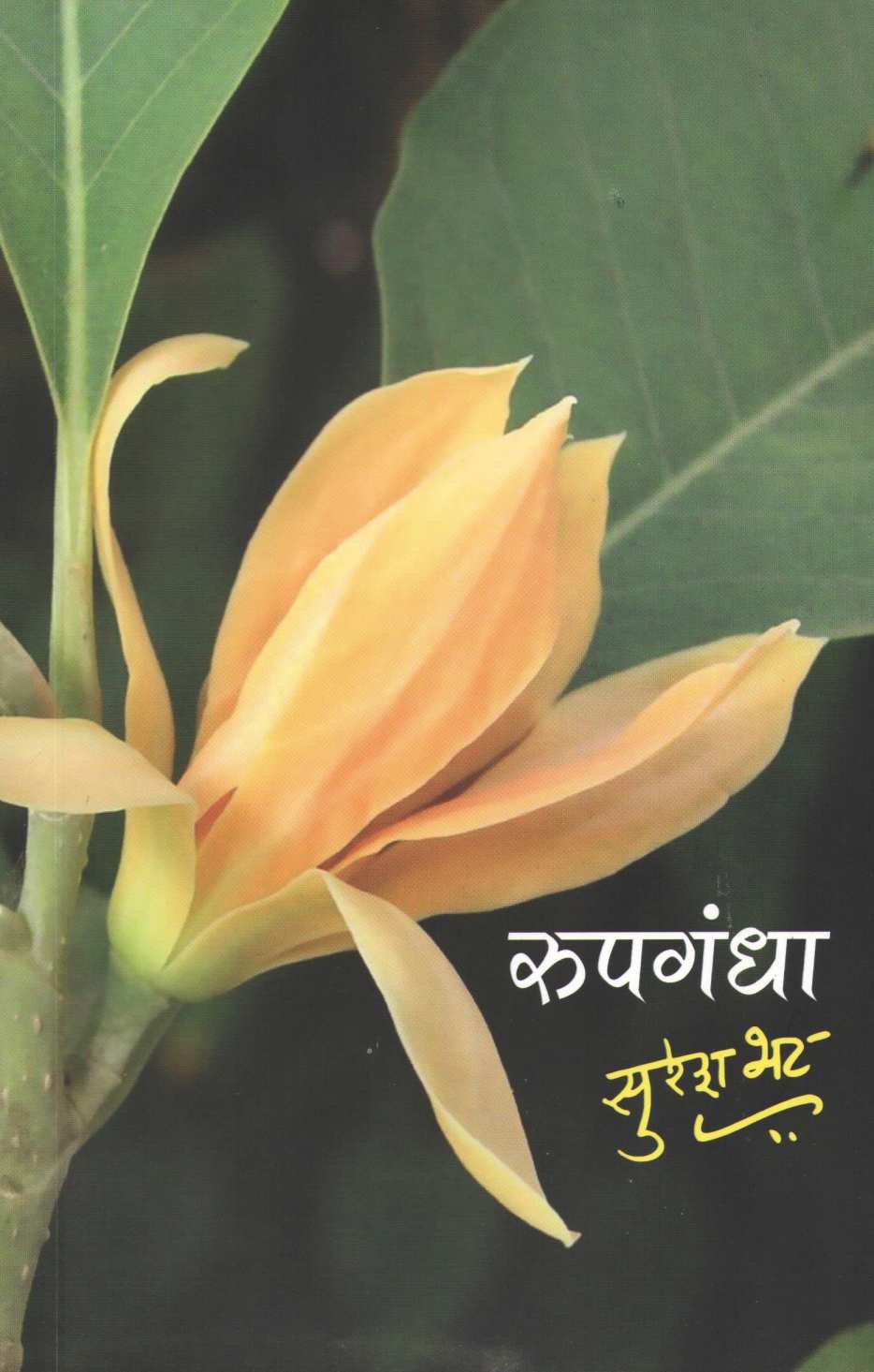 Rupgandha ( रूपगंधा ) by Suresh Bhat ( सुरेश भट )