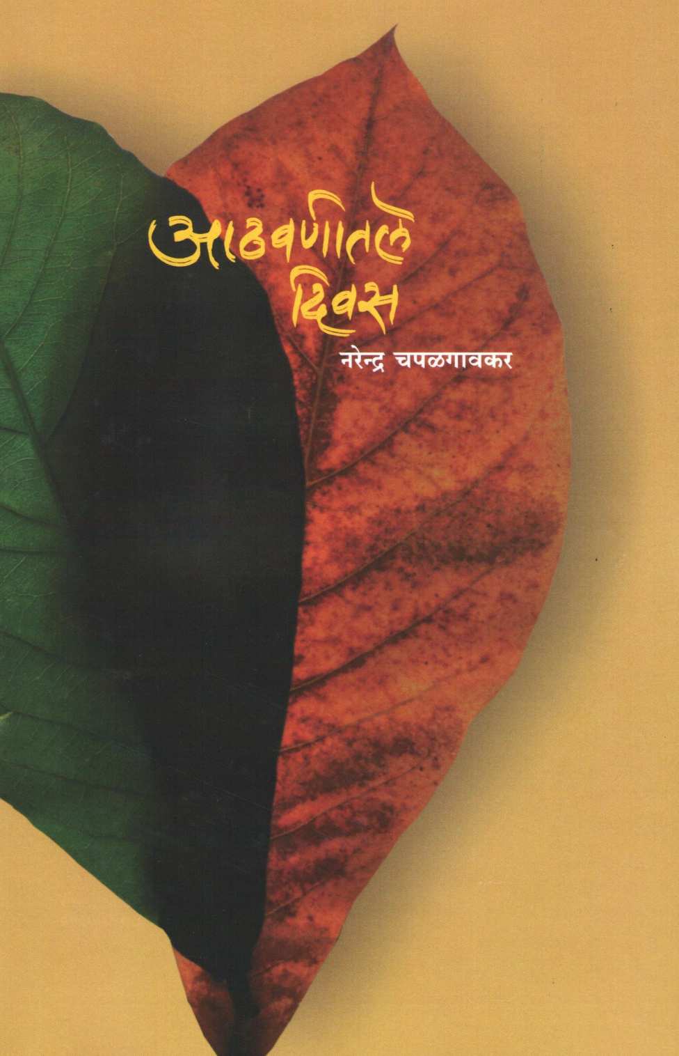 Athavanitale Divas ( आठवणीतले दिवस ) by Narendra Chapalgavkar ( नरेन्द्र चपळगावकर )