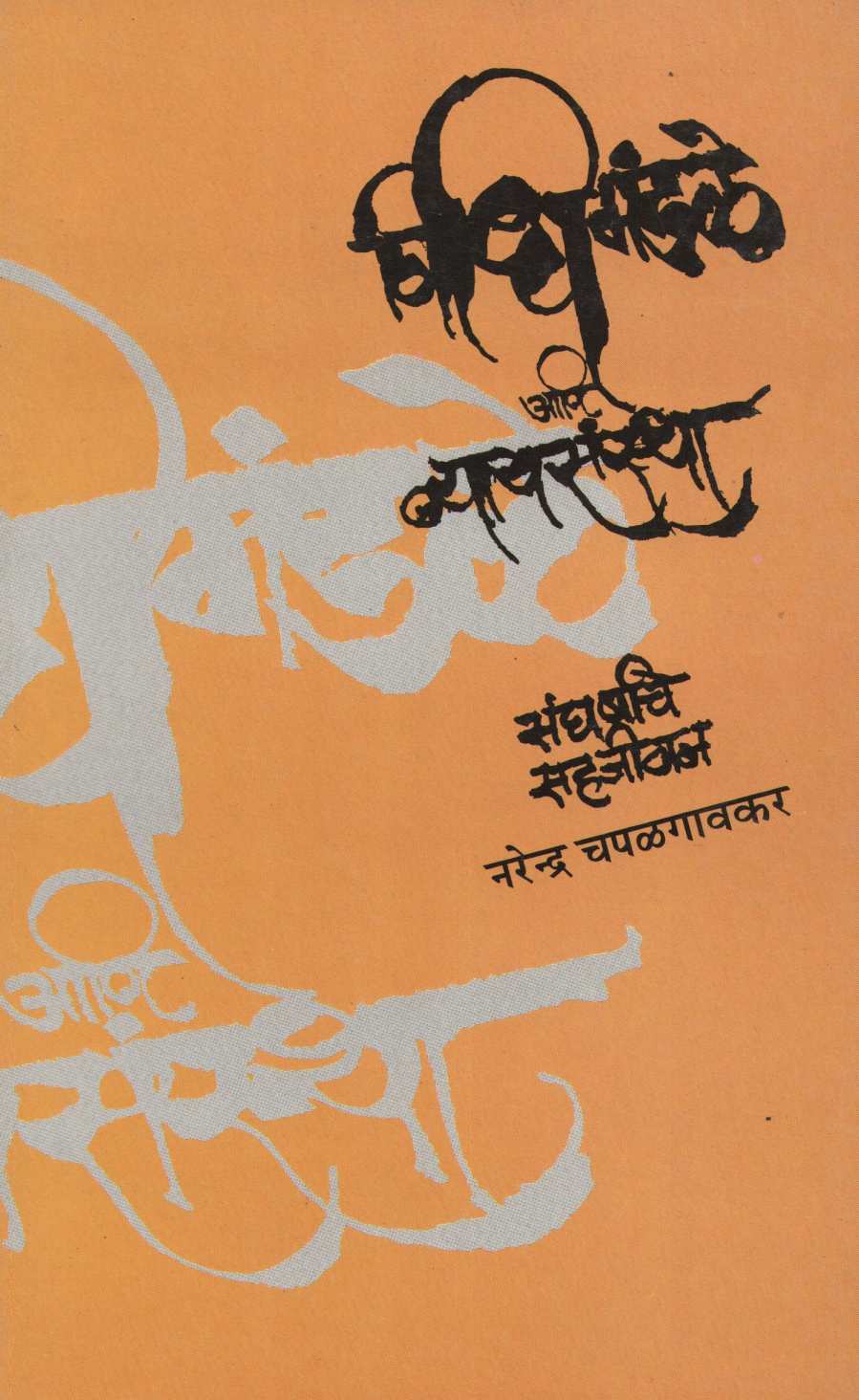 Vidhimandale Ani Nyaysanstha : Sangharshache Sahajeevan ( विधिमंडळे आणि न्यायसंस्था : संघर्षाचे सहजीवन ) by Narendra Chapalgavkar ( नरेन्द्र चपळगावकर )