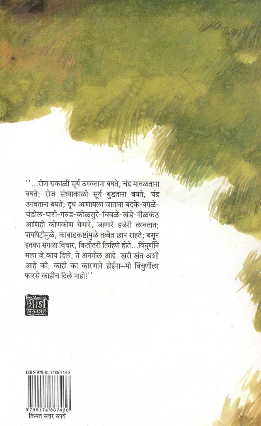 Vinchurniche Dhade ( विंचुर्णीचे धडे ) by Gauri Deshpande ( गौरी देशपांडे )