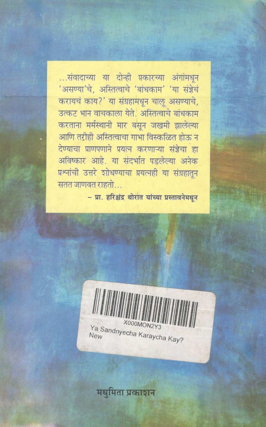 Ya Sadnyecha karayacha kay ? ( या संज्ञेचं करायचं काय ? ) by Vidula Ramabai ( विदुला रमाबाई )
