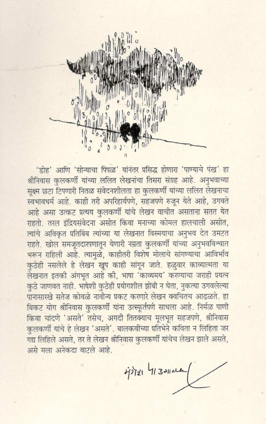 Panyache Pankh ( पाण्याचे पंख ) by Shreenivas Vinayak Kulkarni ( श्रीनिवास विनायक कुलकर्णी )