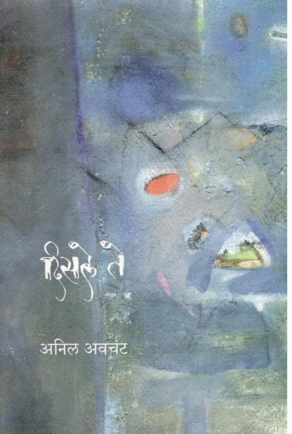 Disale Te ( दिसले ते ) by Anil Awachat ( अनिल अवचट )