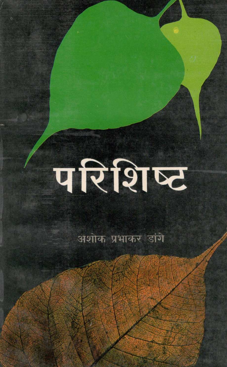 Parishist ( परिशिष्ट ) by Ashok Dange ( अशोक डांगे )
