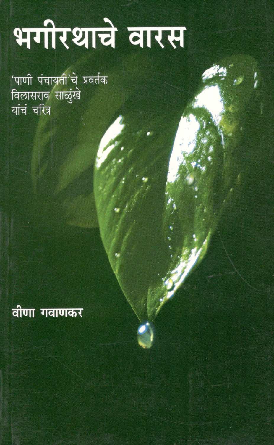 Bhagirathache Varas ( भगीरथाचे वारस ) by Veena Gavankar ( वीणा गवाणकर )