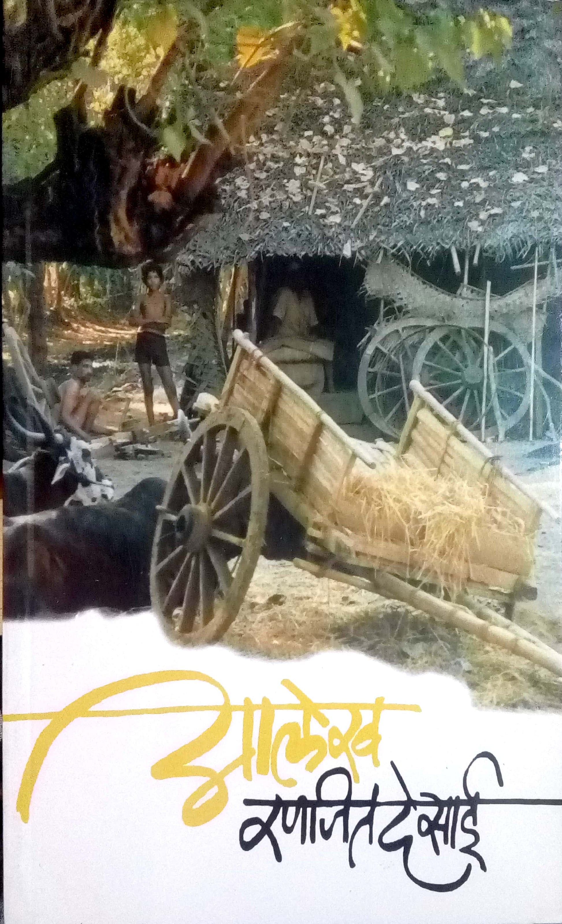 Alekh ( आलेख ) by Ranjeet Desai ( रणजित देसाई )
