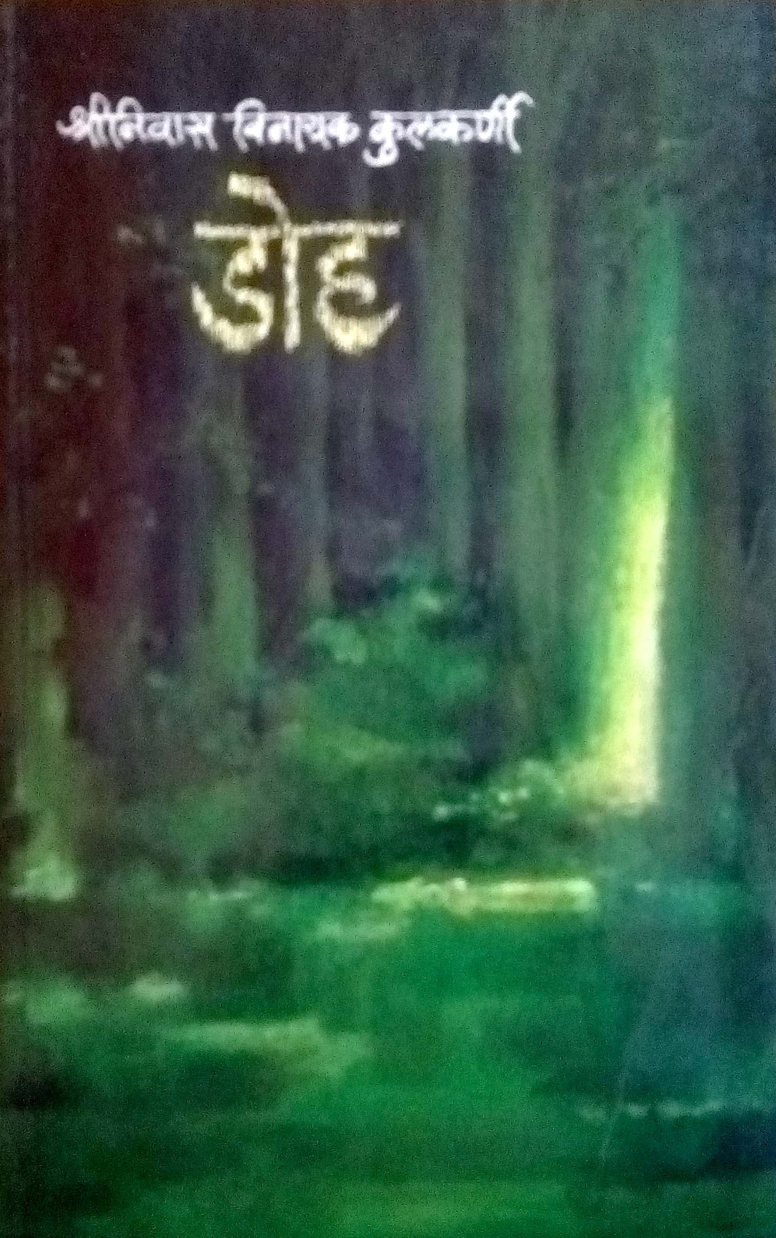 Doha ( डोह ) by Shreenivas Vinayak Kulkarni ( श्रीनिवास विनायक कुलकर्णी )