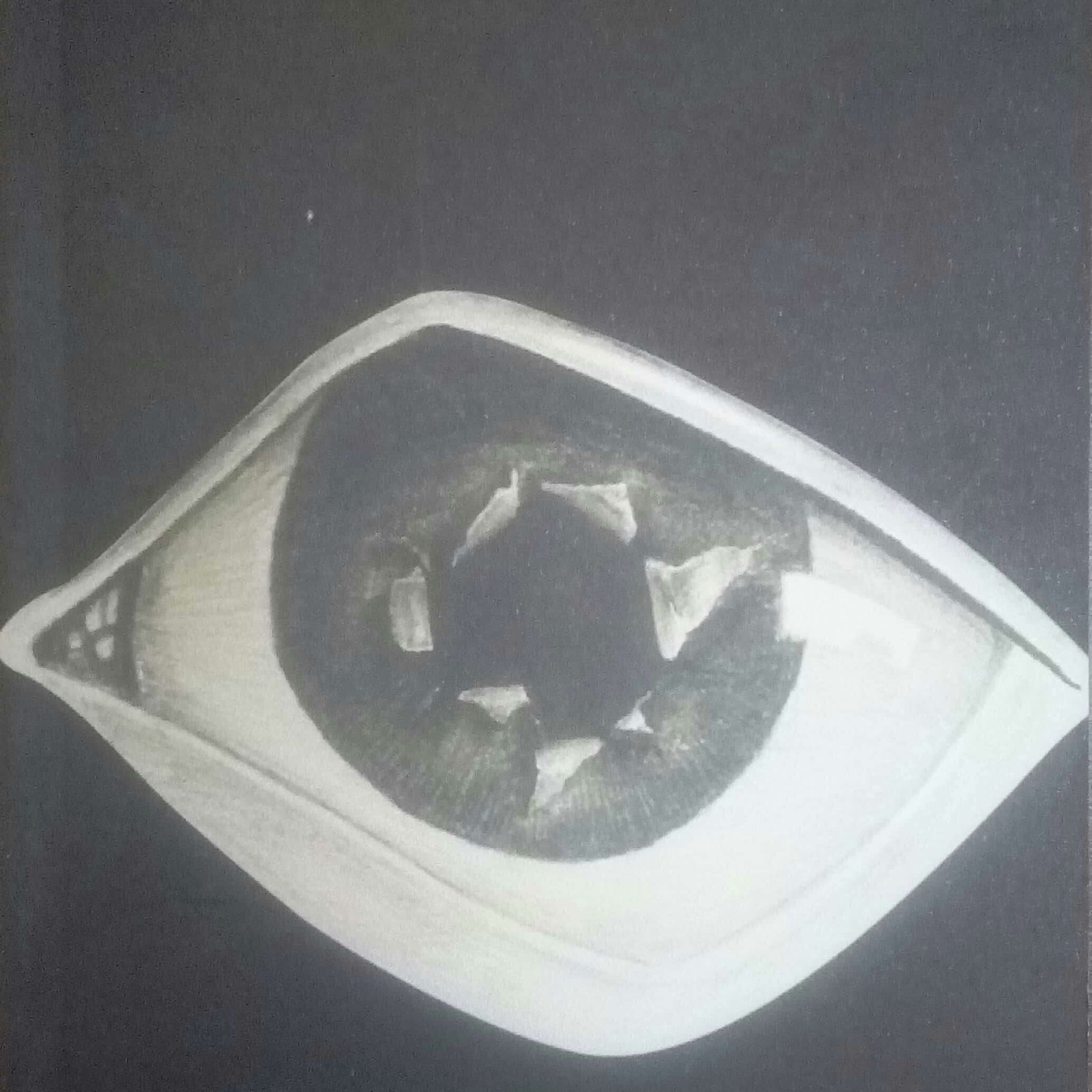 Bharakateshwar ( भरकटेश्वर ) by Hrushikesh Palande ( ऋषिकेश पाळंदे )