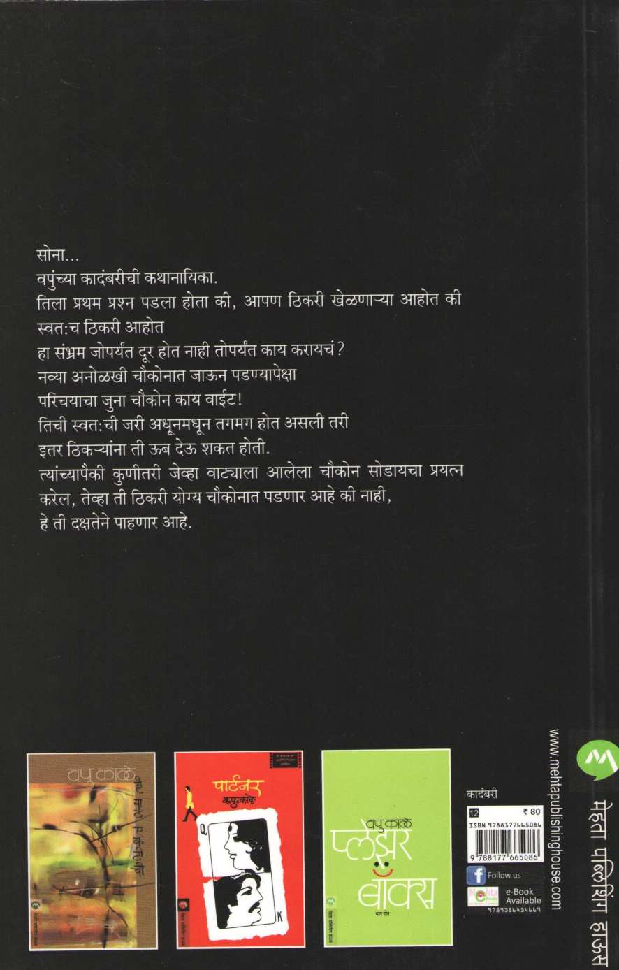 Thikari ( ठिकरी ) by V. P. Kale ( व. पु. काळे )