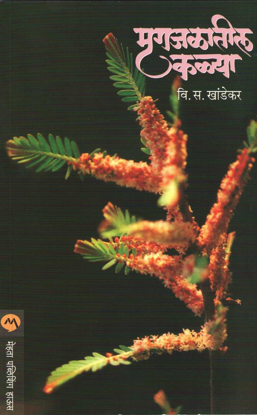 Mrugajalatil Kalya ( मृगजळातील कळ्या ) by V. S. Khandekar ( वि. स. खांडेकर )