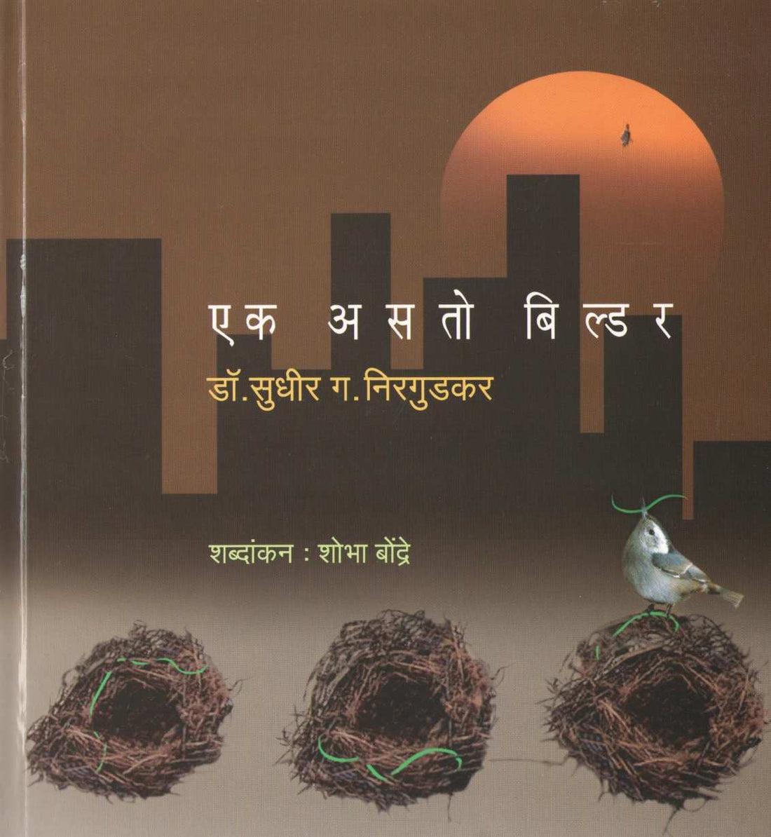Ek Asto Builder ( एक असतो बिल्डर ) by Dr. Sudhir Nirgudkar ( डॉ. सुधीर निरगुडकर )