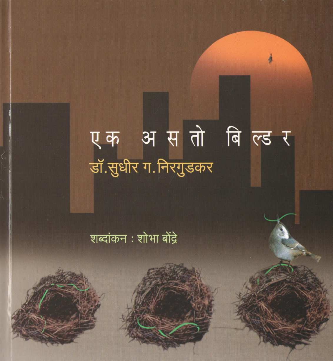 Ek Asto Builder ( एक असतो बिल्डर ) by Dr. Sudhir Nirgudkar ( डॉ. सुधीर निरगुडकर )