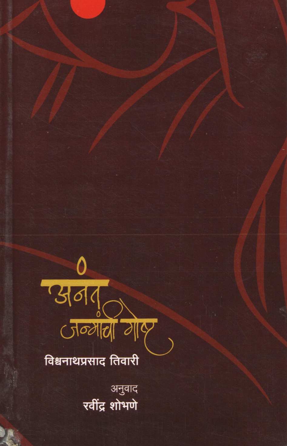 Anant Janmanchi Goshta ( अनंत जन्मांची गोष्ट ) by Vishwanathprasad Tiwari ( विश्वनाथप्रसाद तिवारी )