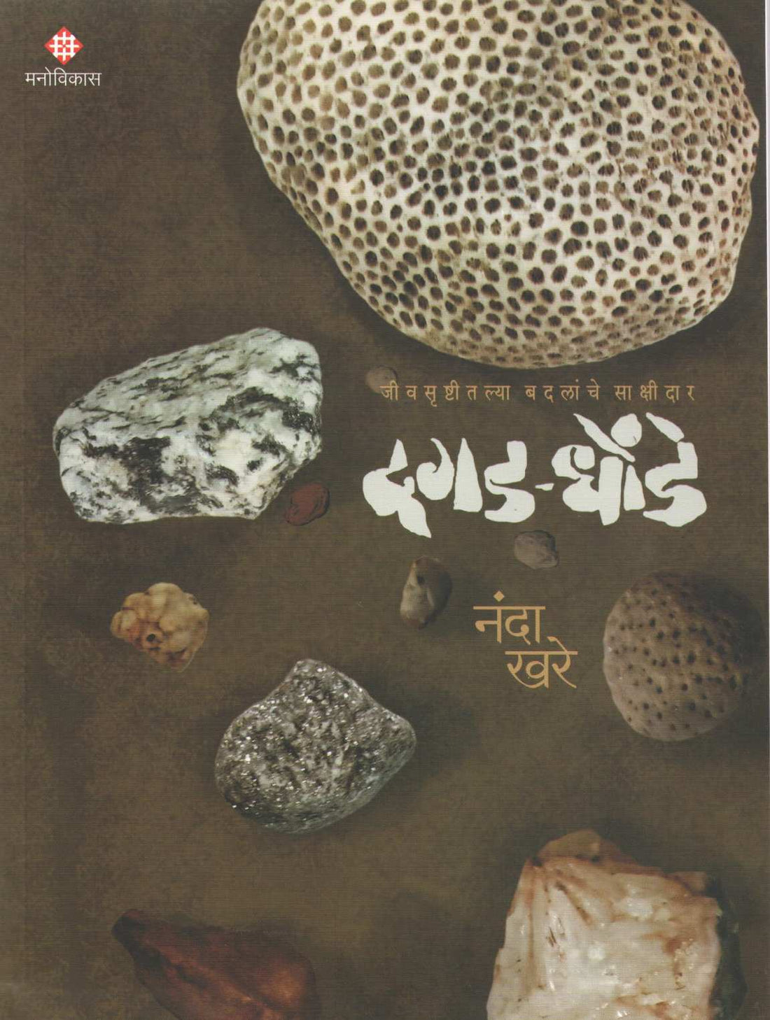 Dagad Dhonde ( दगड धोंडे ) by Nanda Khare ( नंदा खरे )