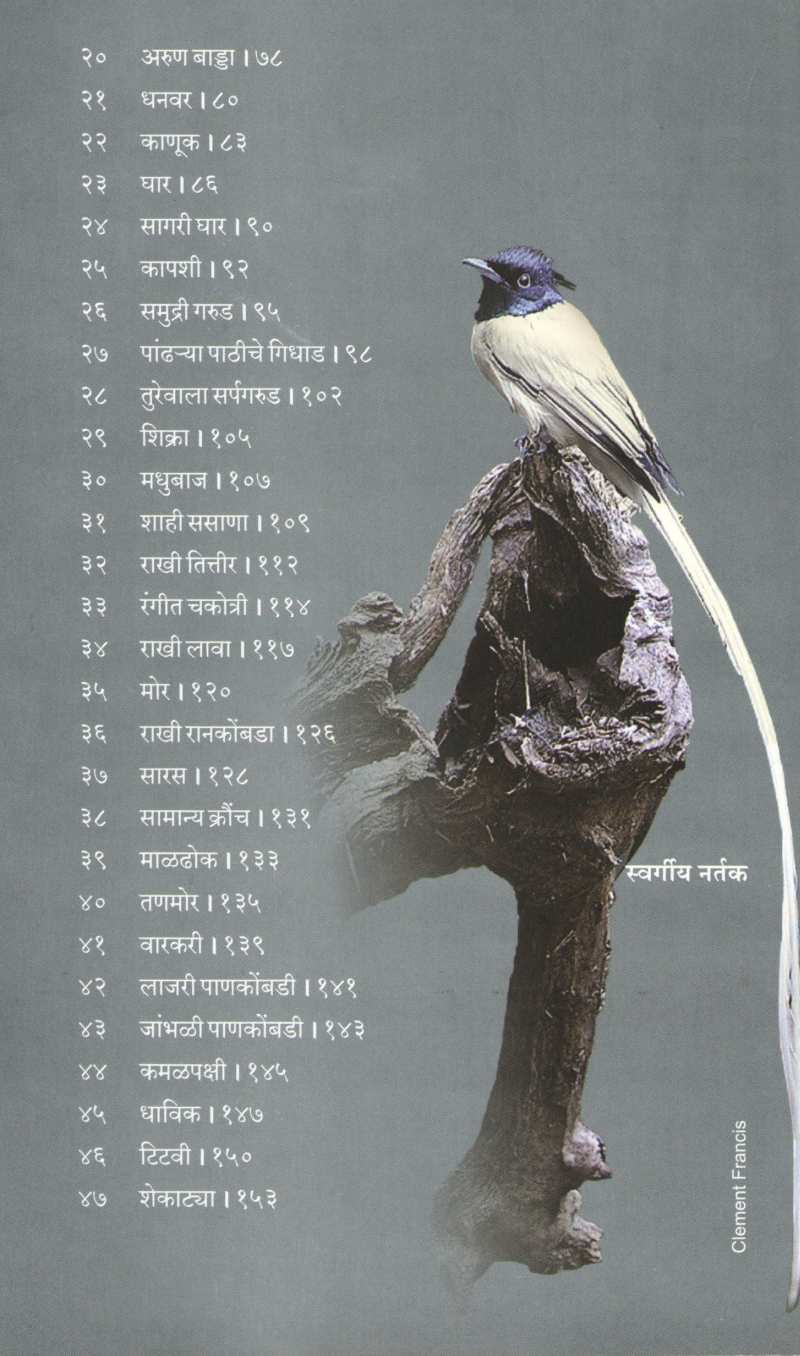 Pakshijagat ( पक्षीजगत ) by Sachin Main ( सचिन मेन )