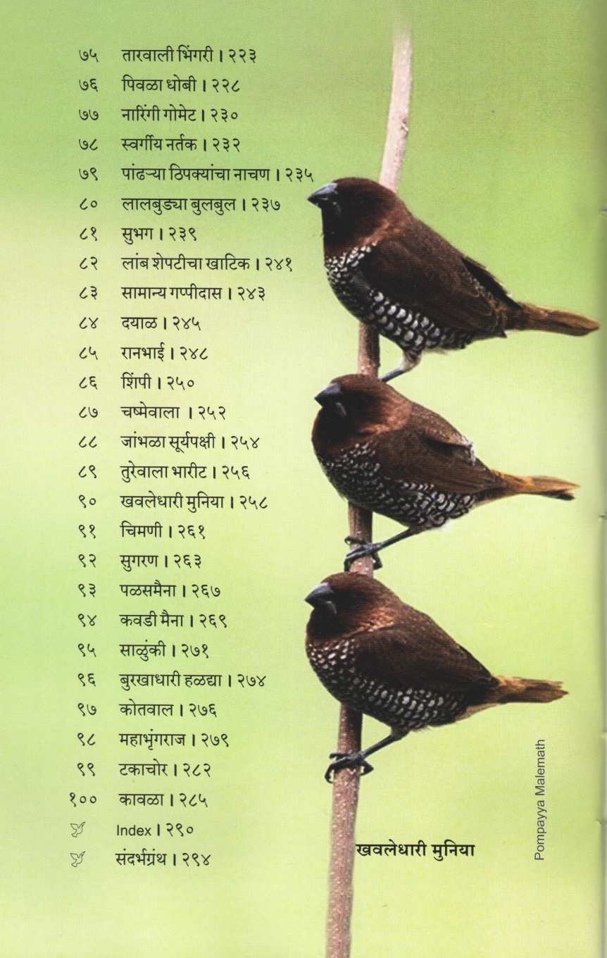 Pakshijagat ( पक्षीजगत ) by Sachin Main ( सचिन मेन )
