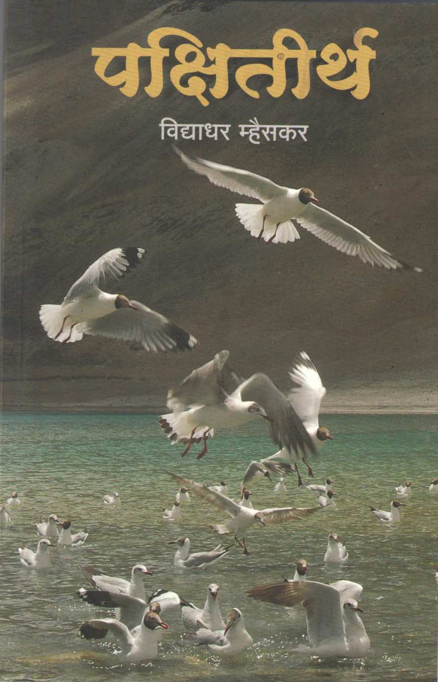 Pakshitirth ( पक्षितीर्थ ) by Vidyadhar Mhaiskar ( विद्याधर म्हैसकर )