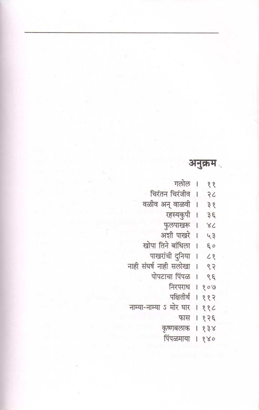Pakshitirth ( पक्षितीर्थ ) by Vidyadhar Mhaiskar ( विद्याधर म्हैसकर )