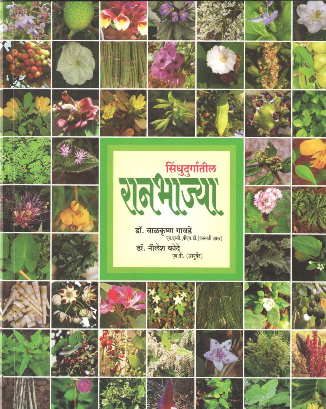 Sindhudugatil Ranbhajya ( सिंधुदुर्गातील रानभाज्या ) by Dr. Balkrishna Gawade ( डॉ. बाळकृष्ण गावडे )