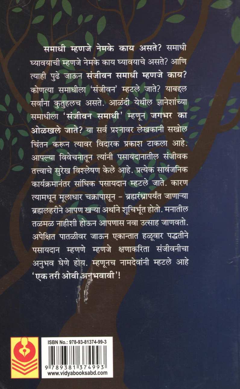Samadhitil Spandane ( समाधीतील स्पंदने ) by Dr. R. S. Morvanchikar ( डॉ. रा. श्री. मोरवंचीकर )