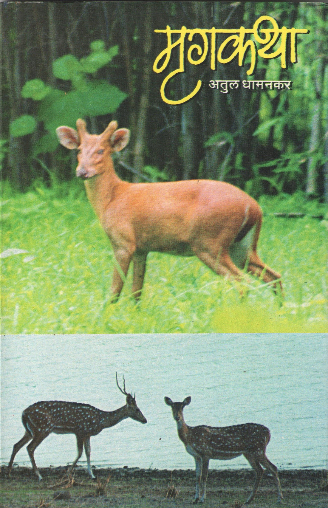 Mrugakatha ( मृगकथा ) by Atul Dhamankar ( अतुल धामनकर )