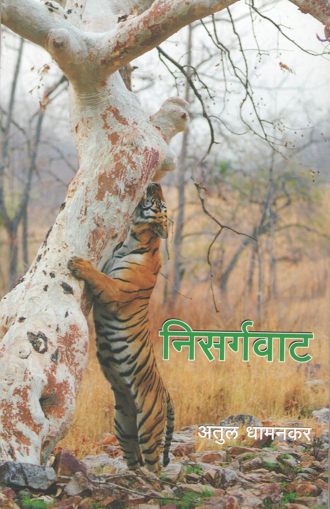 Nisargvat ( निसर्गवाट ) by Atul Dhamankar ( अतुल धामनकर )