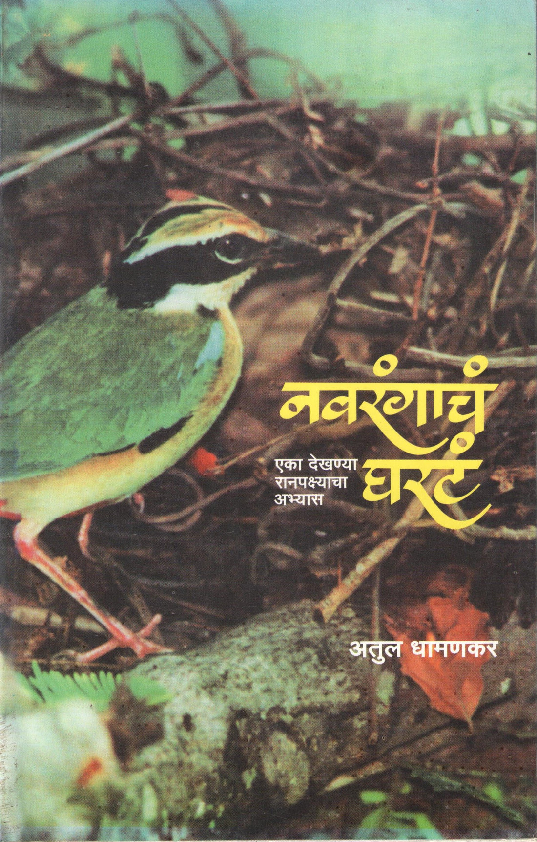 Navrangach Gharata ( नवरंगाचं घरटं ) by Atul Dhamankar ( अतुल धामनकर )