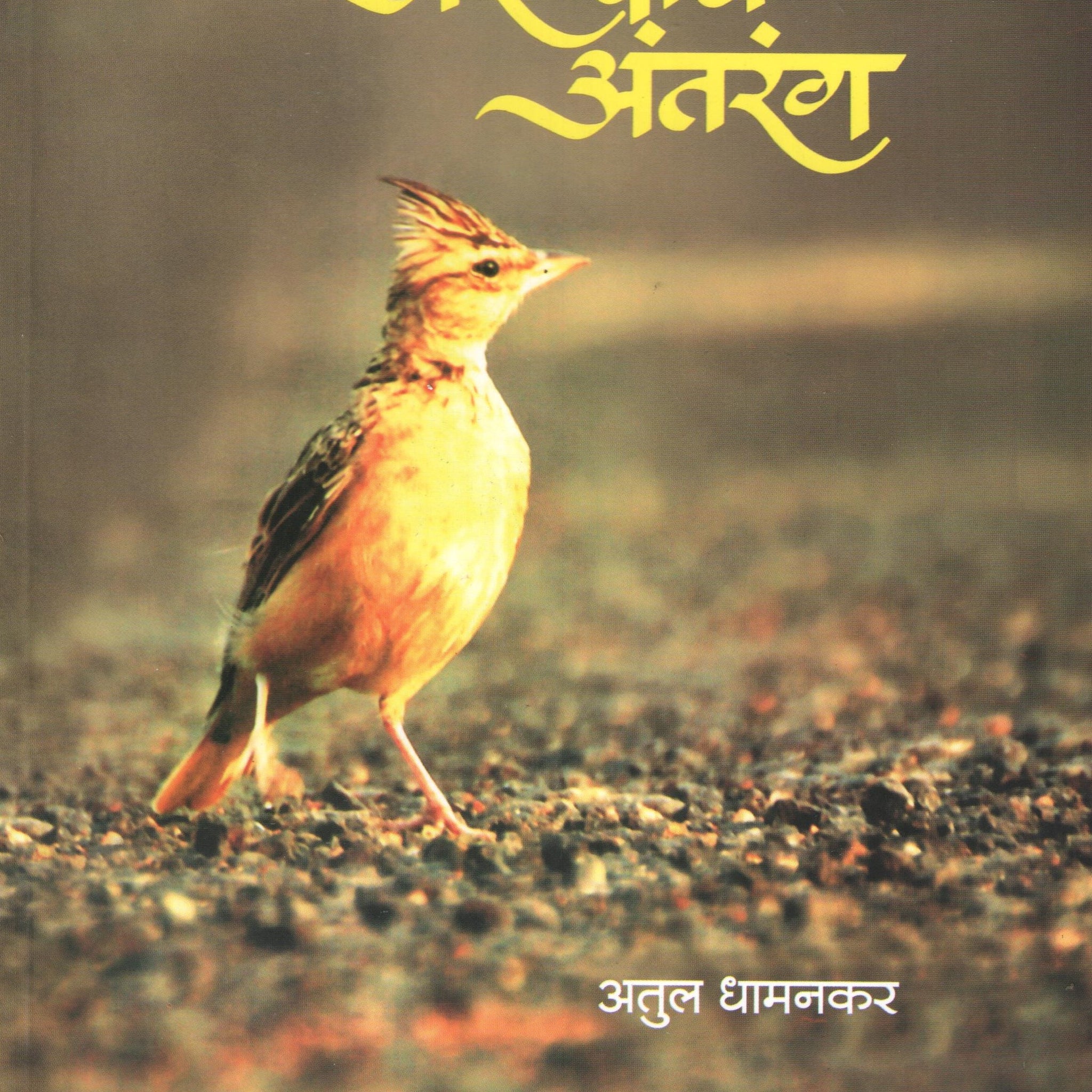 Aranyache Antarang ( अरण्याचे अंतरंग ) by Atul Dhamankar ( अतुल धामनकर )