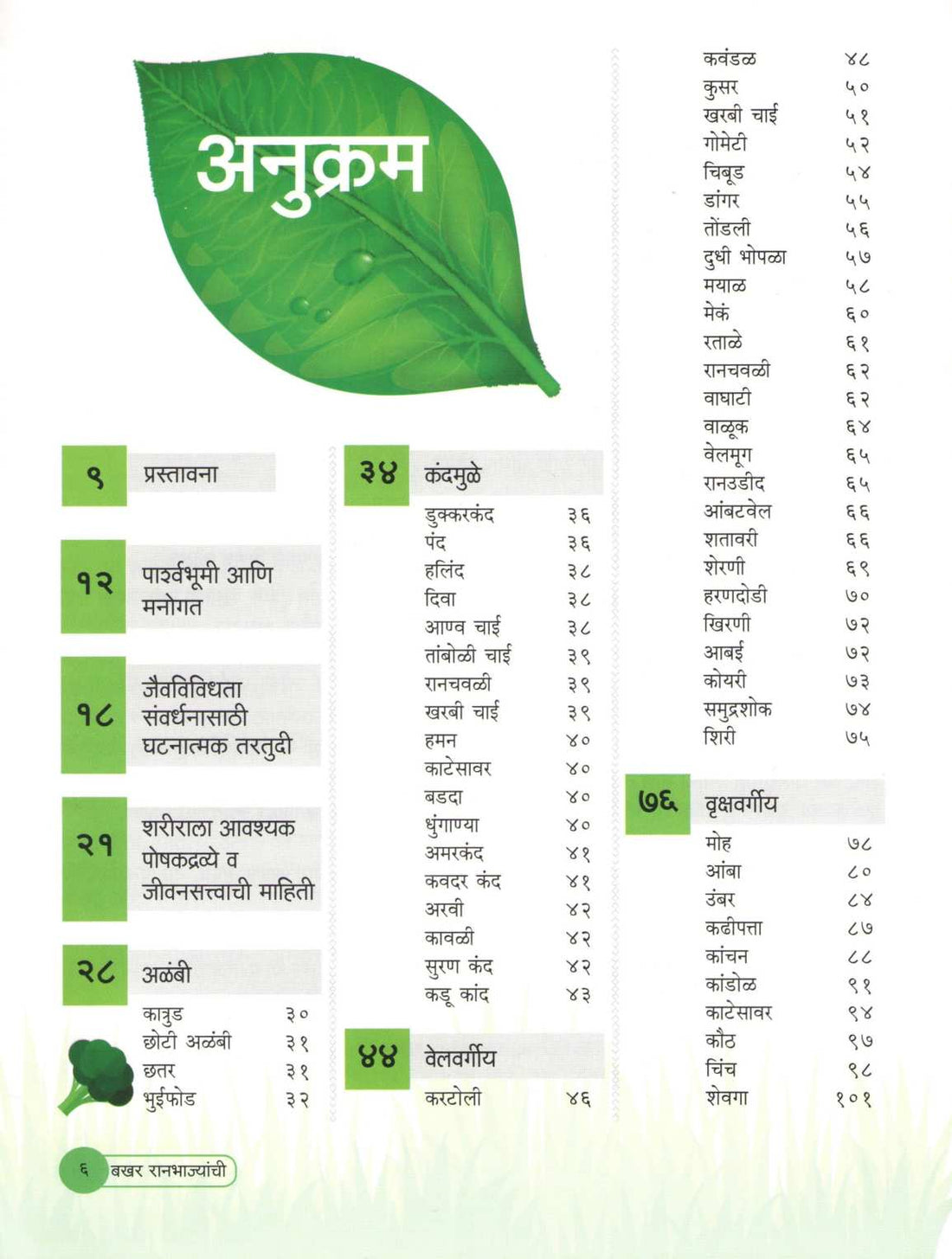 Bakhar Ranbhajyanchi ( बखर रानभाज्यांची ) by Nilima Jorwar ( निलिमा जोरवर )