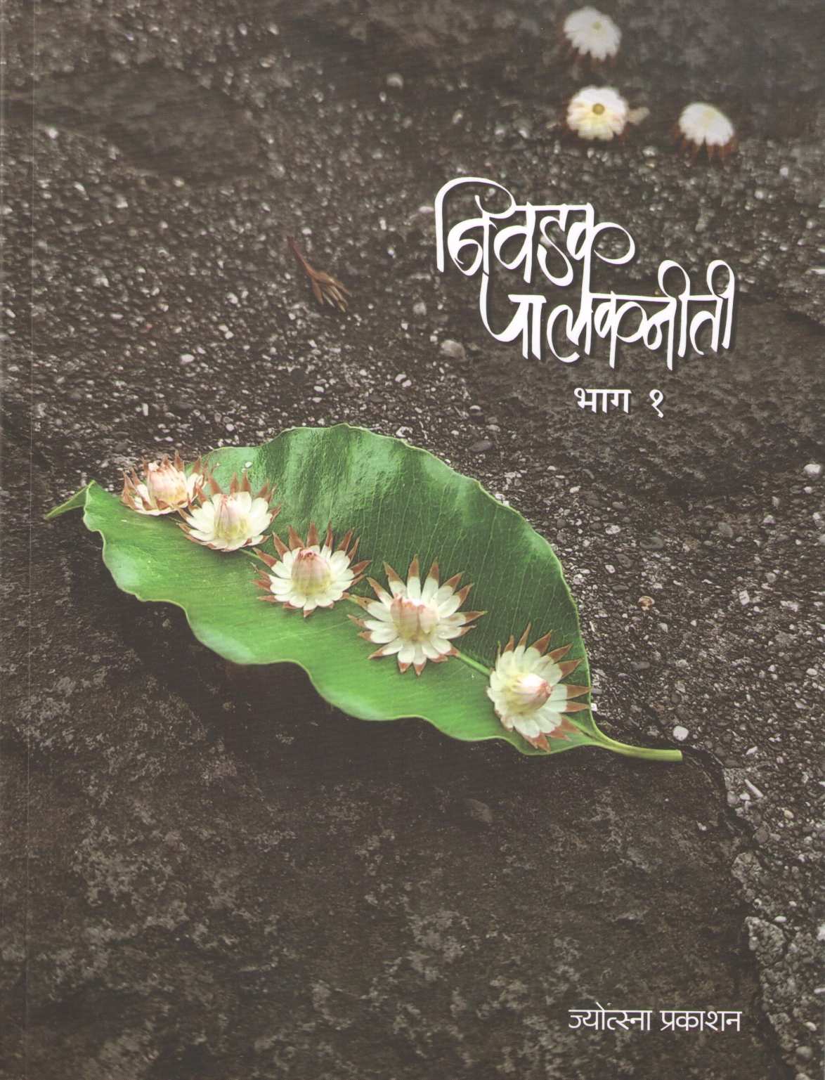 Nivadak Palakniti Part - 1 ( निवडक पालकनीती भाग - १ ) by Other ( इतर )