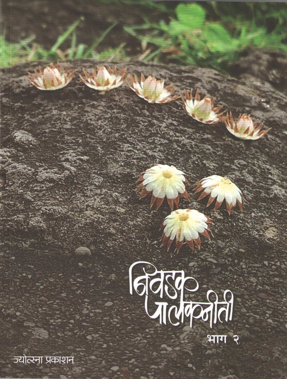Nivadak Palakniti Part - 2 ( निवडक पालकनीती भाग - २ ) by Other ( इतर )
