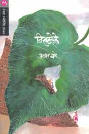 Nisatalele ( निसटलेले ) by Asha Bage ( आशा बगे )