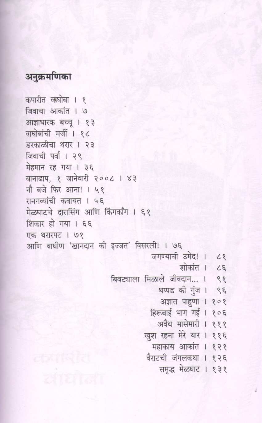 Kulamamachya Deshat ( कुलामामाच्या देशात ) by G. B. Deshmukh ( जी. बी. देशमुख )