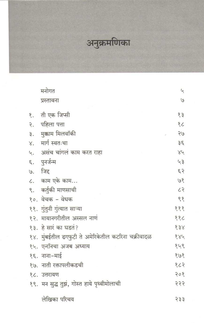Nilu Niranjana ( निलू निरंजना ) by Mrunalini Chitale ( मृणालिनी चितळे )