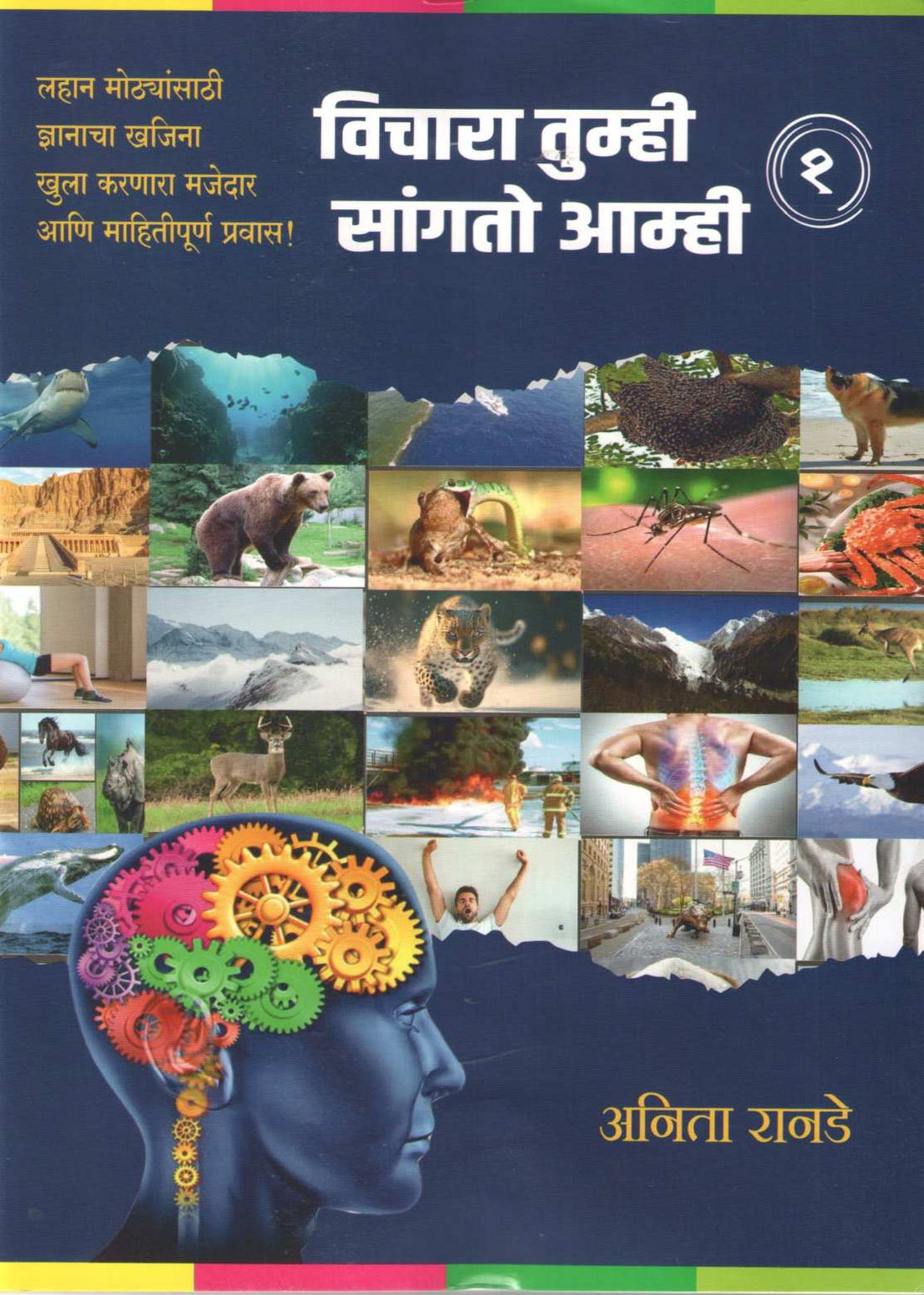 Vichara Tumhi Sangto Amhi (Part 1 To 6) ( विचारा तुम्ही सांगतो आम्ही (भाग १ ते ६) ) by Anita Ranade ( अनिता रानडे )